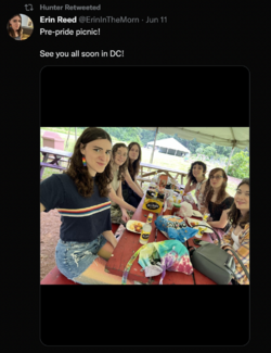 picnic.png