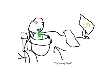 opposing flaps.png