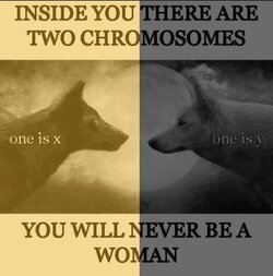 CA0F1A96-E036-4222-A394-F5ECBF119C48.jpeg