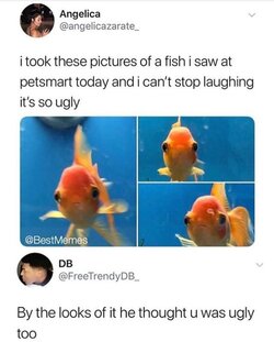Fish.jpg