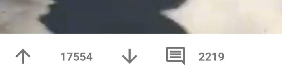 1.jpeg