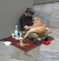 Dog-Loyalty-Best-Friend-3-551x560.jpg