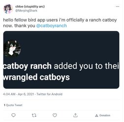 catboyranch.JPG catboyranch.JPG