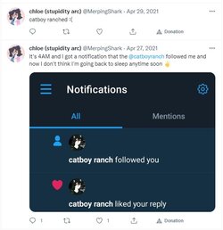 catboyranch2.JPG catboyranch2.JPG