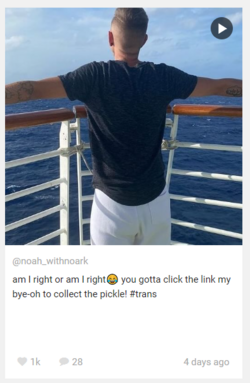 1665078666476.png