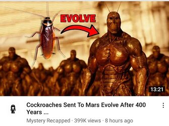 Turkish History.jpg