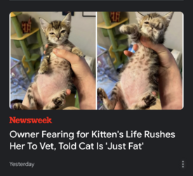 Screenshot_20221006-203722.png