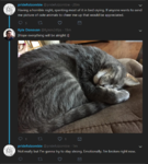 Capture.PNG