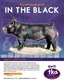 TKO-Genetics_InTheBlack.jpg