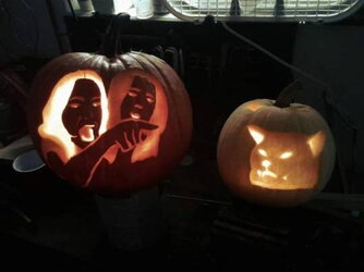 woman-vs-cat-pumpkins-cf.jpg