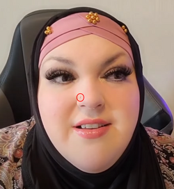 hijabnosering2.png