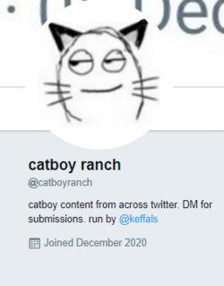 catboy ranch.PNG