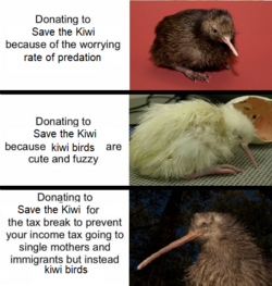 1665257640500.png