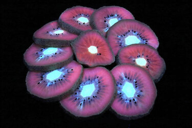 sliced-kiwi-uv-shane-bechler.jpg
