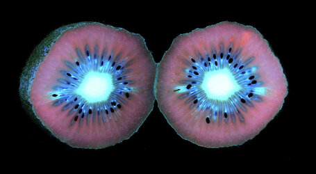 split-kiwi-uv-shane-bechler.jpg