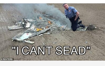 I_cant_sead.jpg
