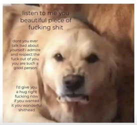 1665338552327.png