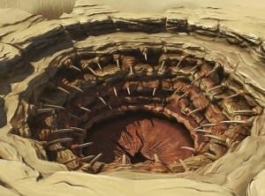 Sarlacc-you-don-t-have-to-go-to-a-galaxy-far-far-away-to-see-these-5-real-life-star-wars-alien...jpg