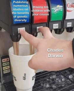drw1.jpg