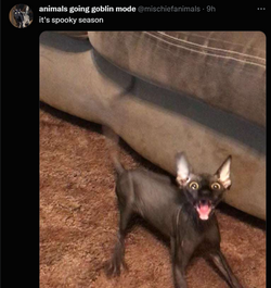 goblinmoad.png