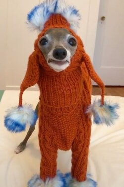 deg.jpg