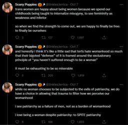 you hate womanhood 3.PNG