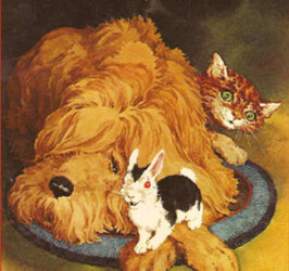 the-bunnicula-series-by-james-howe.jpg