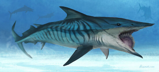 820_helicoprion_kezrek.jpg