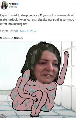 kefshower.png