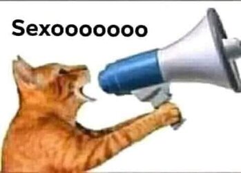 cat sexo.jpg