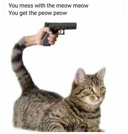 fetchimage (10).jpeg