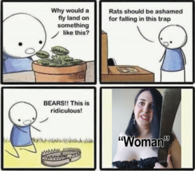 1665800188217.png