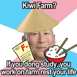 study.jpg