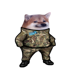 1665827170892.png