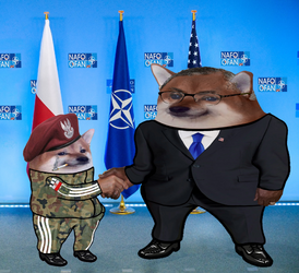 1665827194806.png