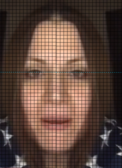 1665859736184.png
