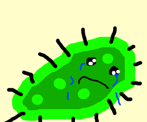 1_MJNRQbntfdkdb47QNvYidQ.png