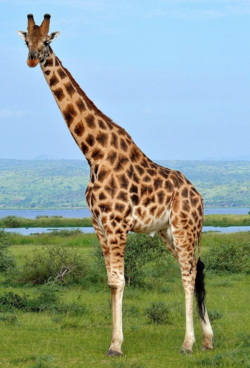 1665886483659.png