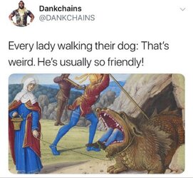 lwcawtxmrxo91.jpg