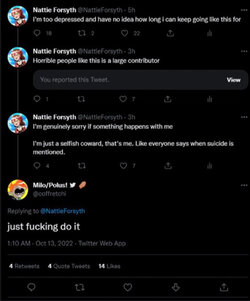 smtka39.JPG