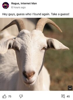6251C711-6772-4C33-8F71-7DECFB844DA8.jpeg