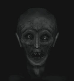 Untitled_Artwork (5).png