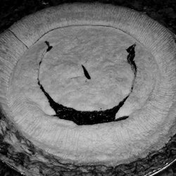 chickieriddlepie.jpg chickieriddlepie.jpg