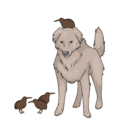 waf.png