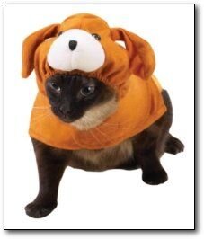 catdoj.jpg