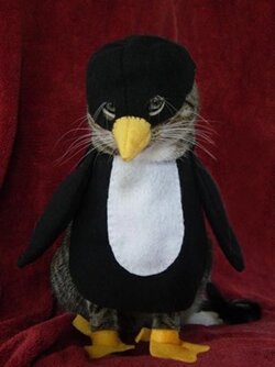 pengwin.jpg