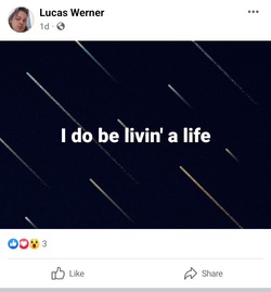 Screenshot_20221017-124958~2.png