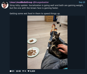 Screenshot from 2022-10-17 15-16-39.png