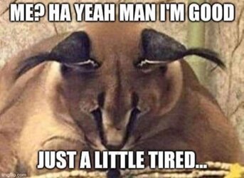 just a little tired.jpg