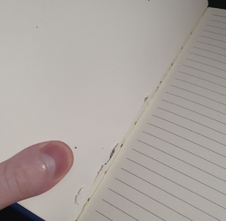 torn_page.png